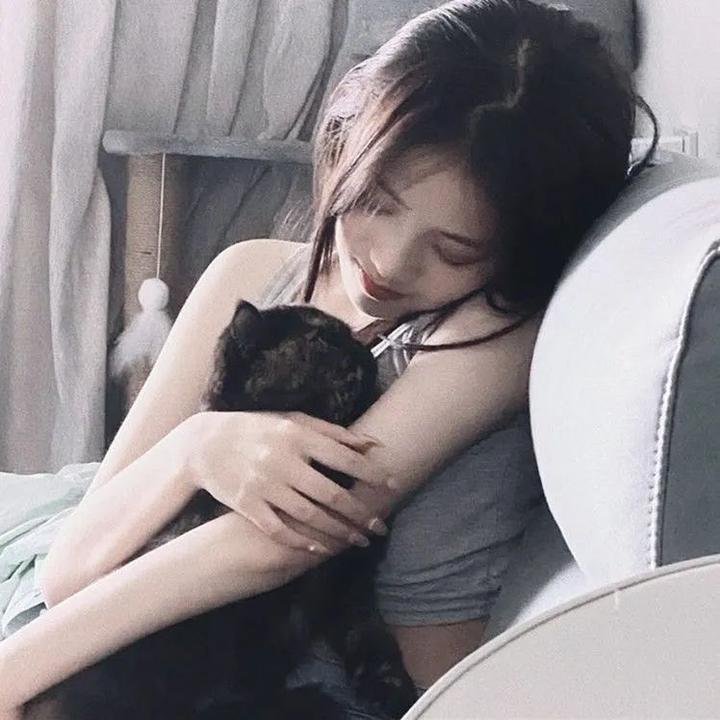 樱花任务